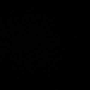 Meet your Posher, Alisa